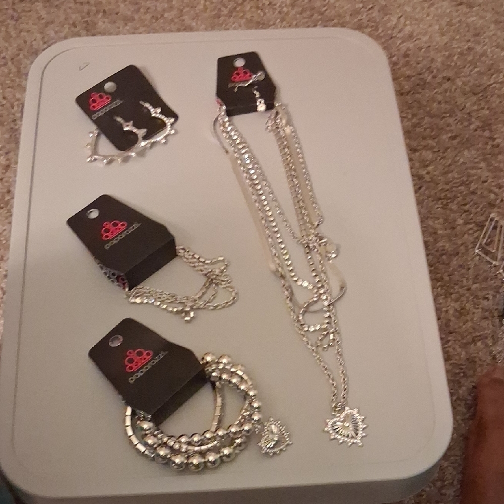 Paparazzi Silver Earring and Necklace Set